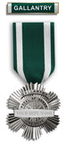 Medal of Gallantry-FIRE DEPT