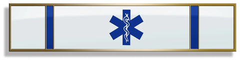 EMS 1