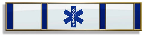 EMS 2